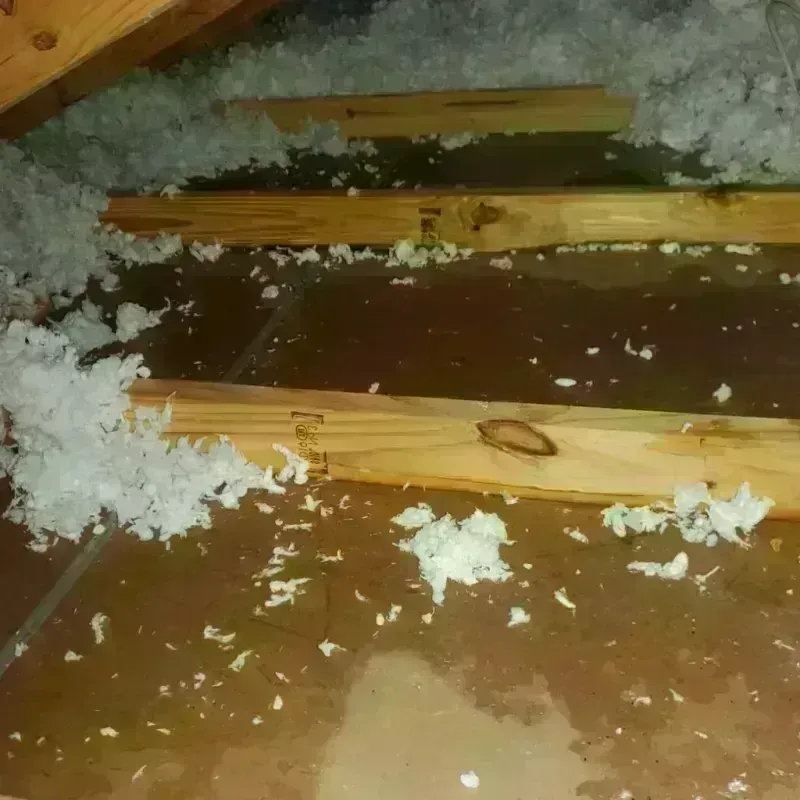 Attic Water Damage in Sherman County, TX