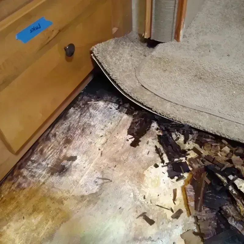 Wood Floor Water Damage in Sherman County, TX